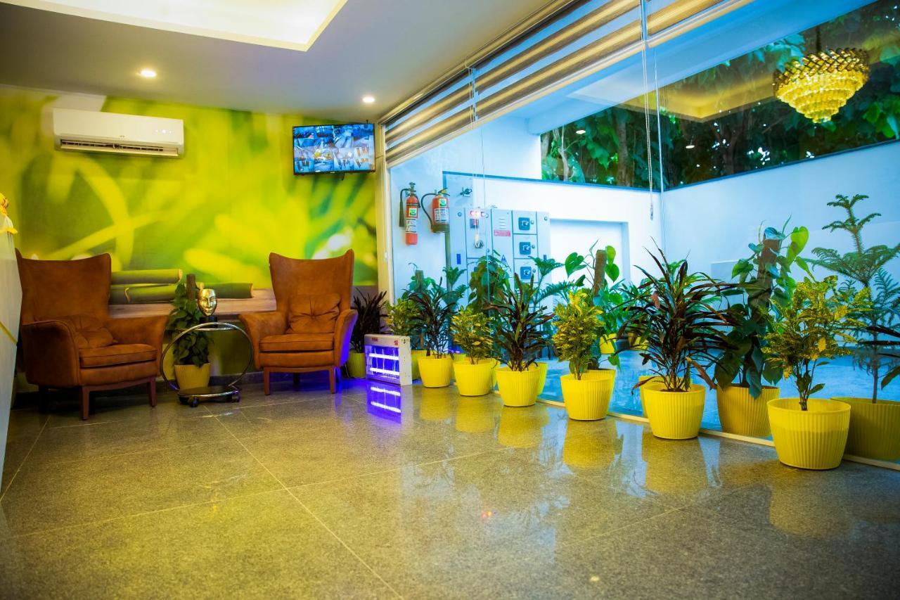 Lime Tree Luxury Studio - Service Apartment Near Artemis Hospital ,גורגאון מראה חיצוני תמונה