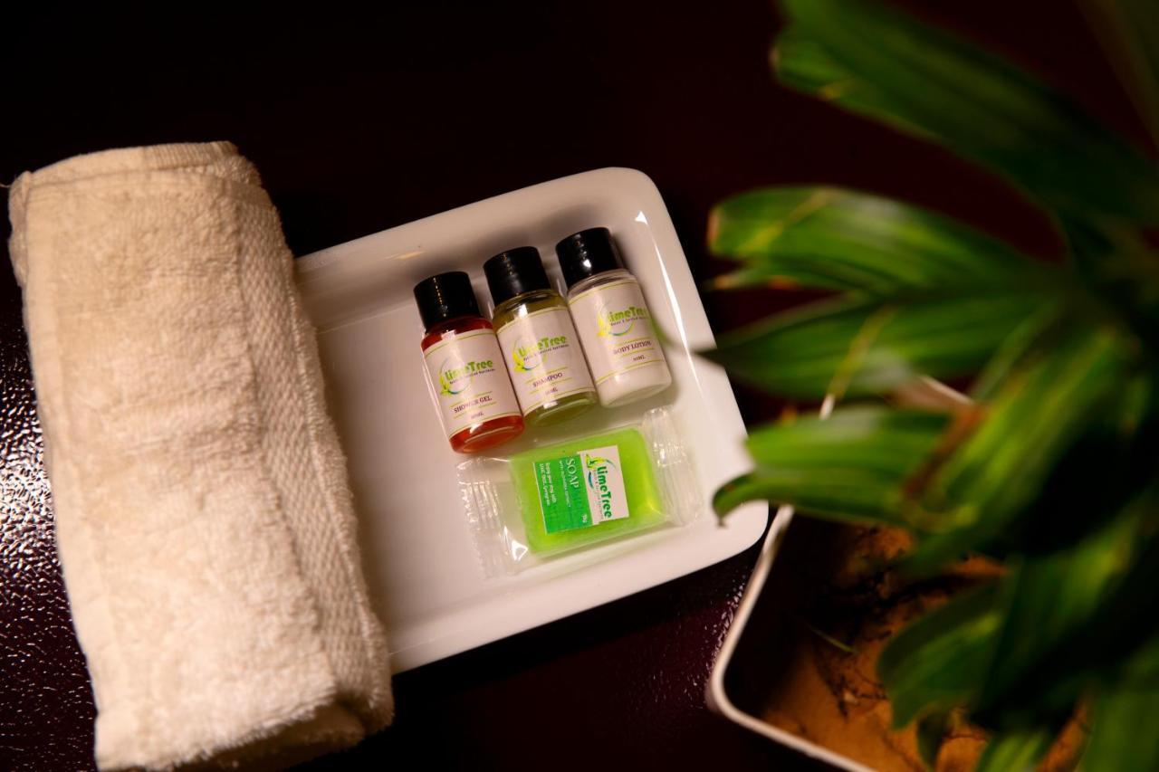 Lime Tree Luxury Studio - Service Apartment Near Artemis Hospital ,גורגאון מראה חיצוני תמונה